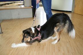 Blindenführung macht Platz