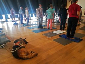 ein Blindenhund liegt hinter Kursteilnehmern, die auf ihren Matten stehen